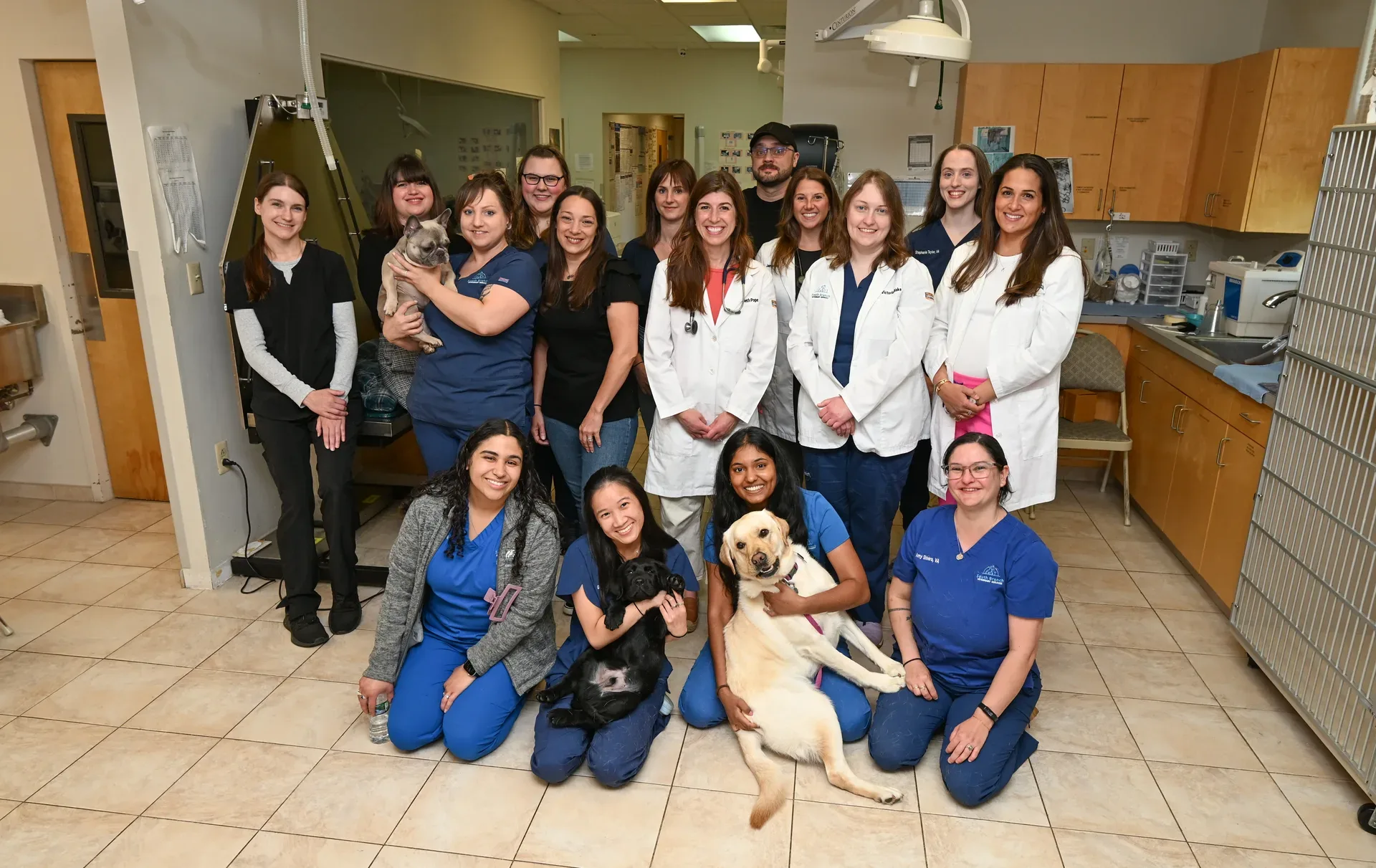 South Branch Veterinary Services