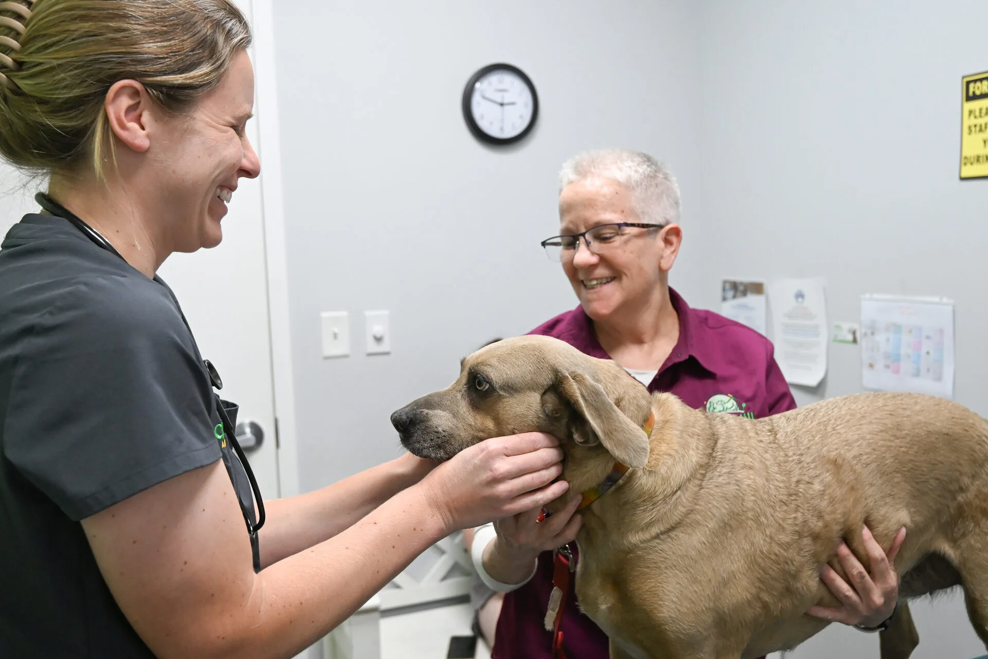 Clover Hill Animal Hospital